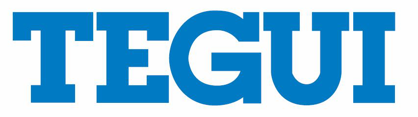 logo tegui